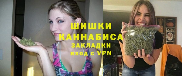 PSILOCYBIN Инсар