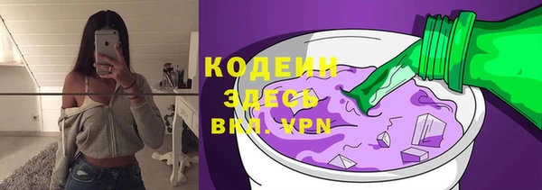 spice Инта