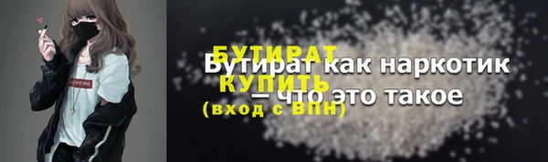 spice Инта