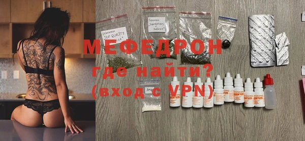 spice Инта