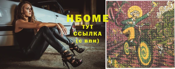 spice Инта
