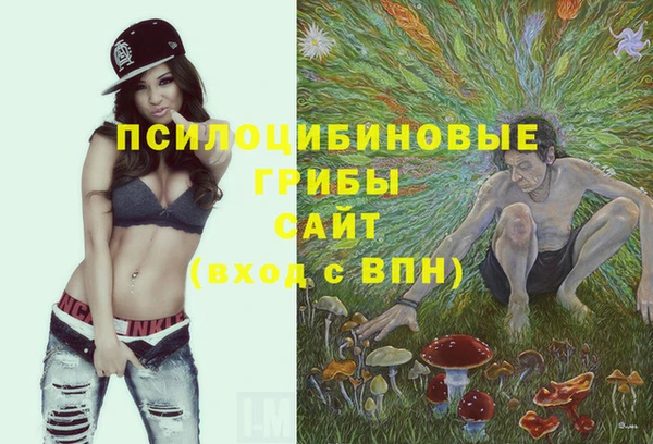 PSILOCYBIN Инсар