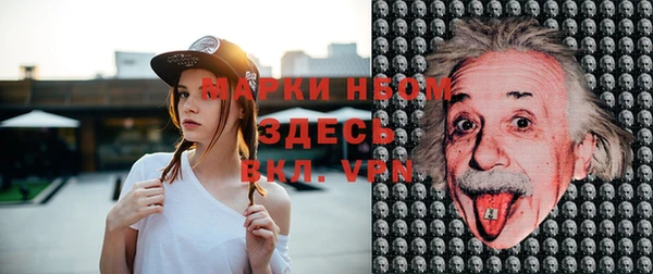 PSILOCYBIN Инсар