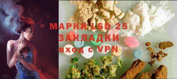 spice Инта