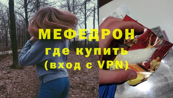 spice Инта