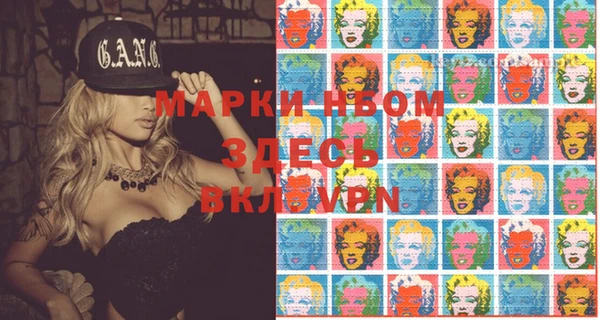 spice Инта