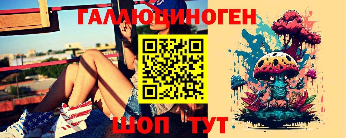 Ишимбай  Псилоцибиновые грибы Psilocybine cubensis  Вход с VPN 