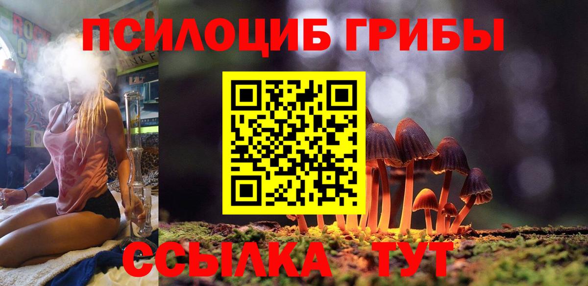 Псилоцибиновые грибы мицелий Ишимбай